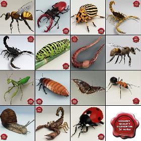 Insects Collection V6
